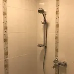 Viktor Apartment *