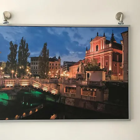 Viktor Apartment *