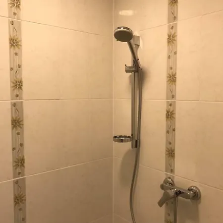 Viktor Apartment *